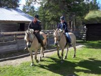 Horseback riding: from 2h to daytrips