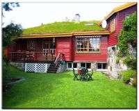 Fjordside Lodge, B&B in Hordvik